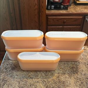 TEVOLO HOMEMADE ICE CREAM STORAGE CONTAINERS Lot of 5